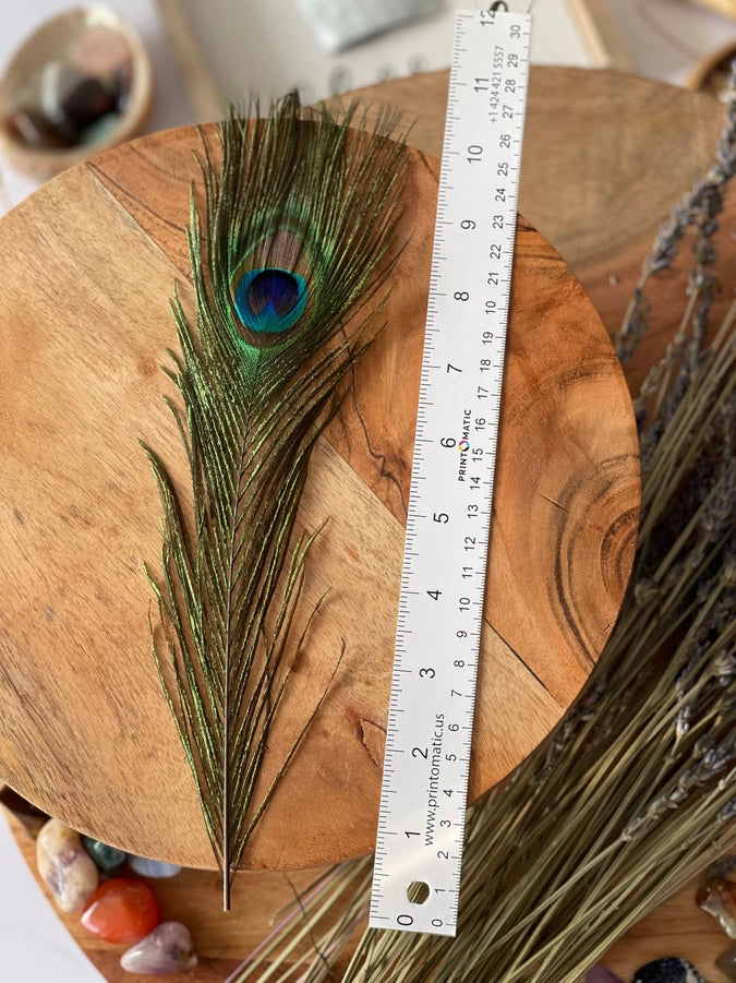 Peacock Feathers