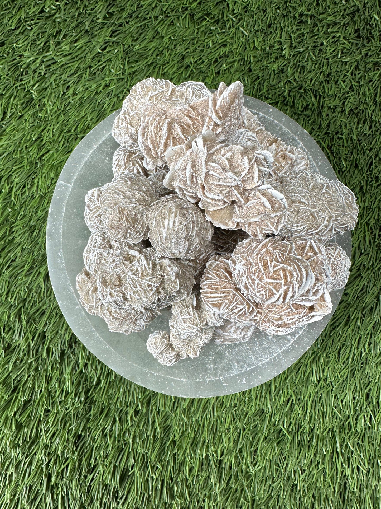 Gypsum Desert Rosettes - Selenite Rose (A Grade)