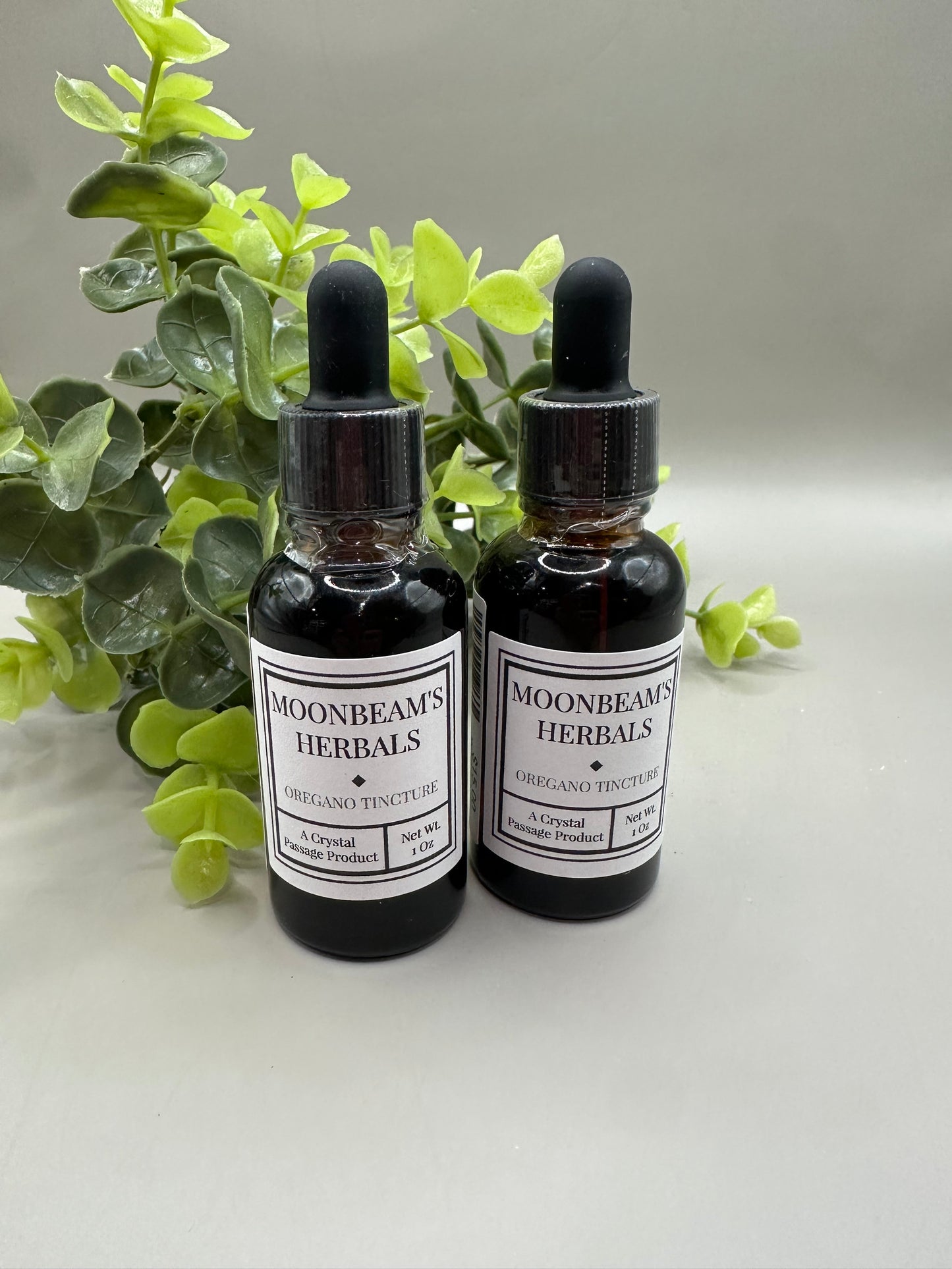 Moonbeam's Herbals Oregano Tincture