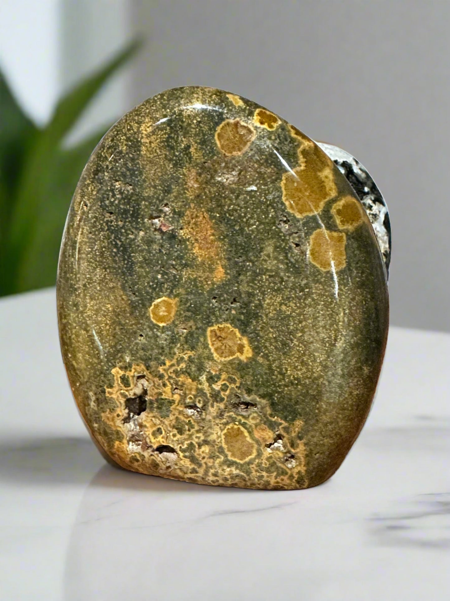Ocean Jasper Freeform