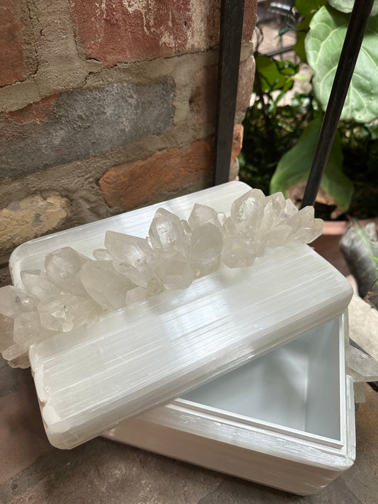 Selenite & Quartz Treasure Box