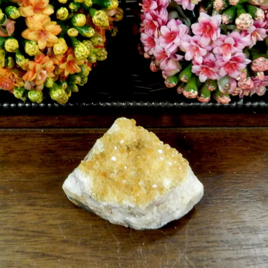 Citrine Cluster - small