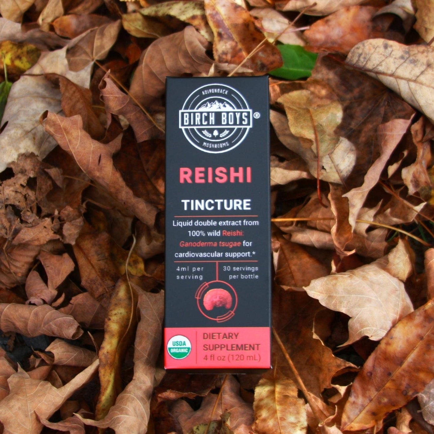 Wild Organic Reishi Tincture (4oz)