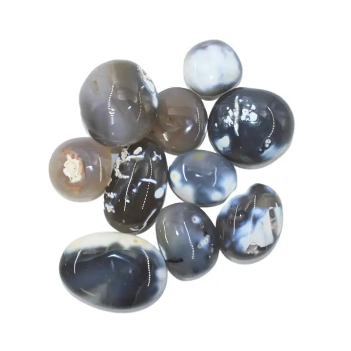 Orca Agate Palm