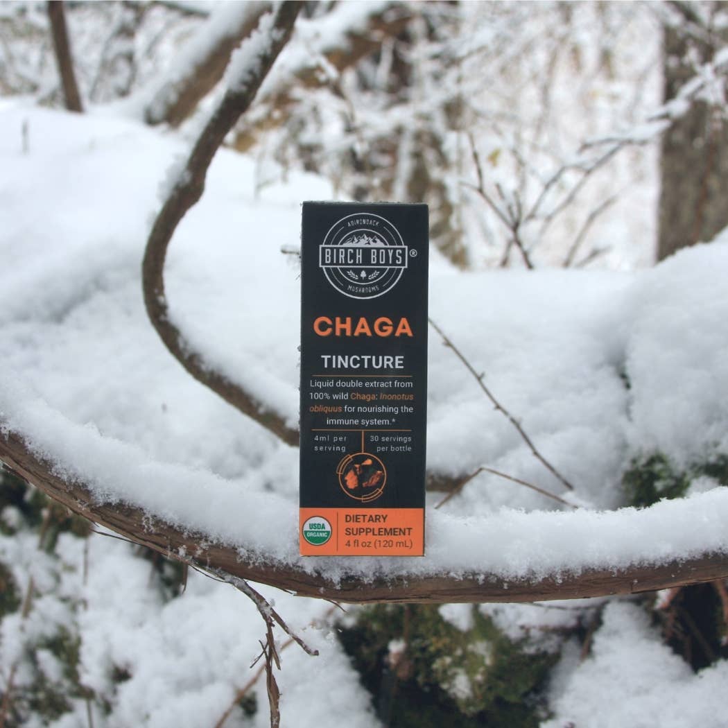 Wild Organic Chaga Tincture (4oz)