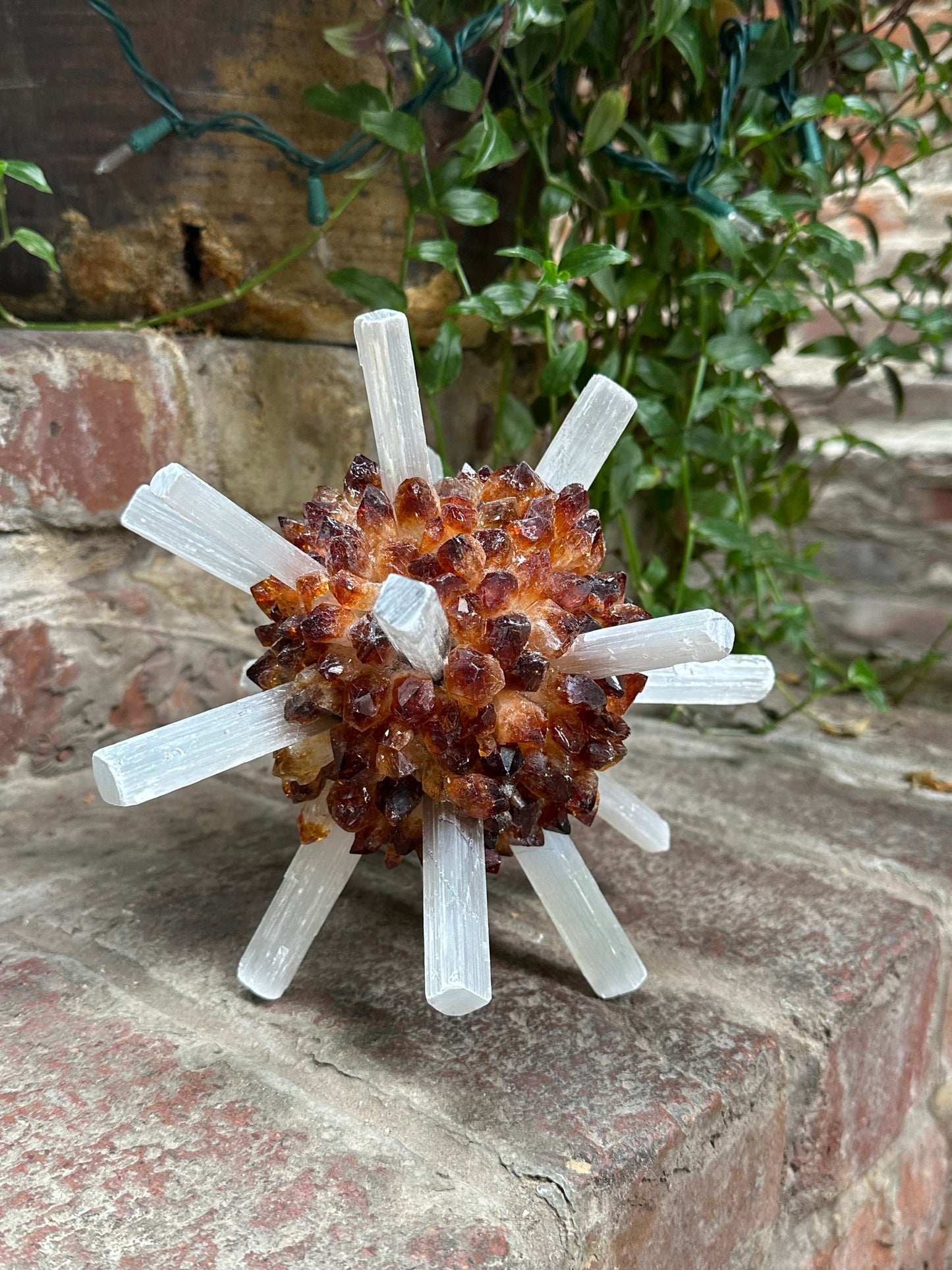 Citrine Novastar
