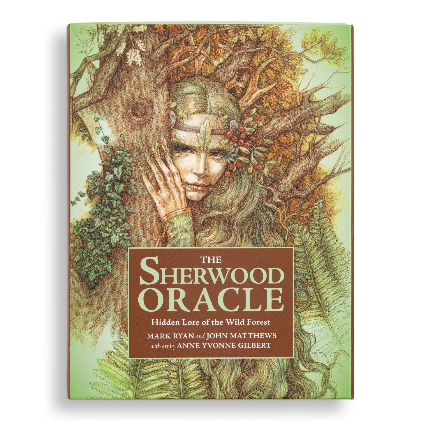 The Sherwood Oracle: Hidden Lore of the Wild Forest