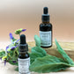 Moonbeam's Herbals Mullein Tincture