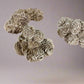 Desert Rose Gypsum XL