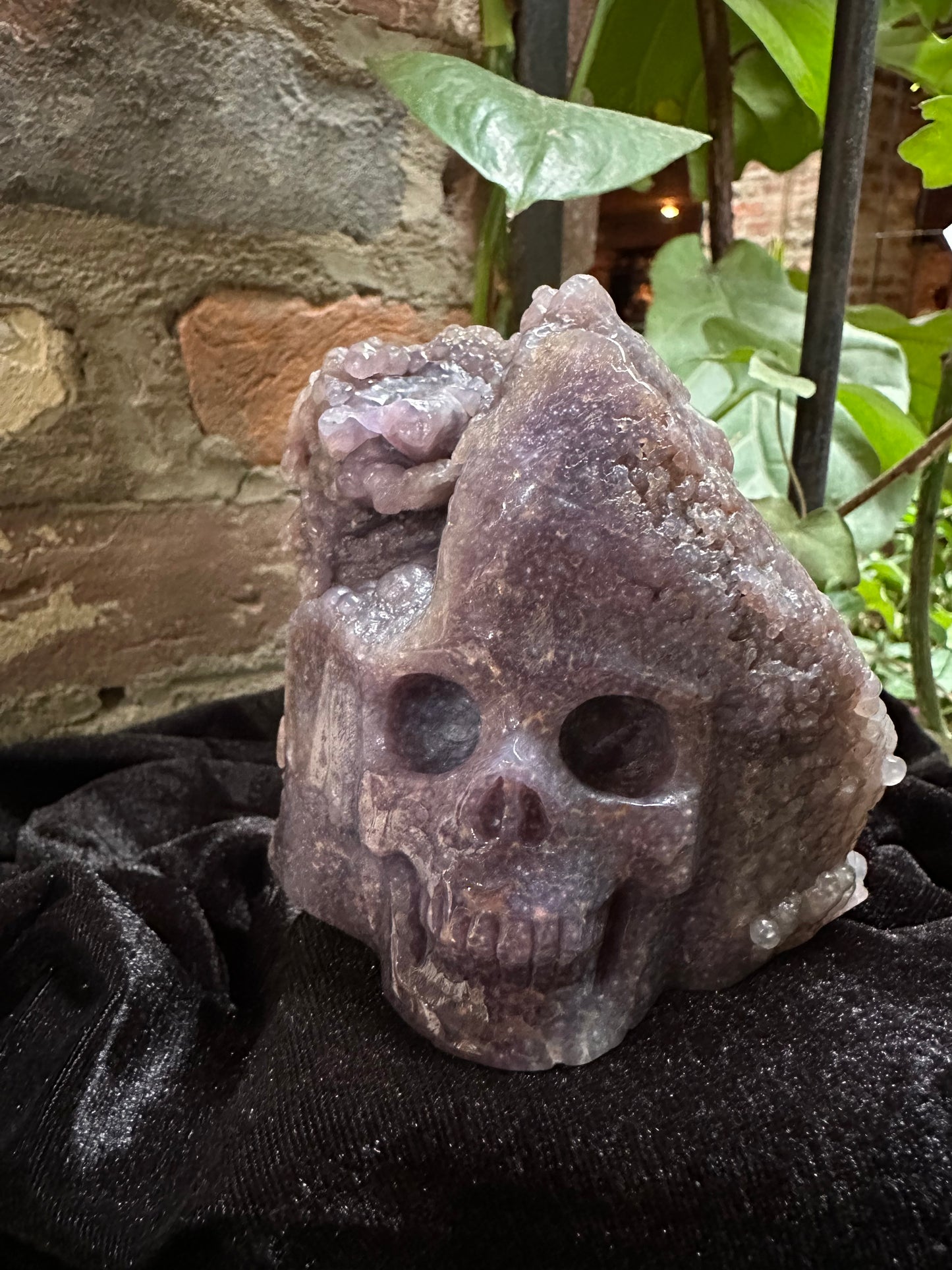 Grape Agate Skull