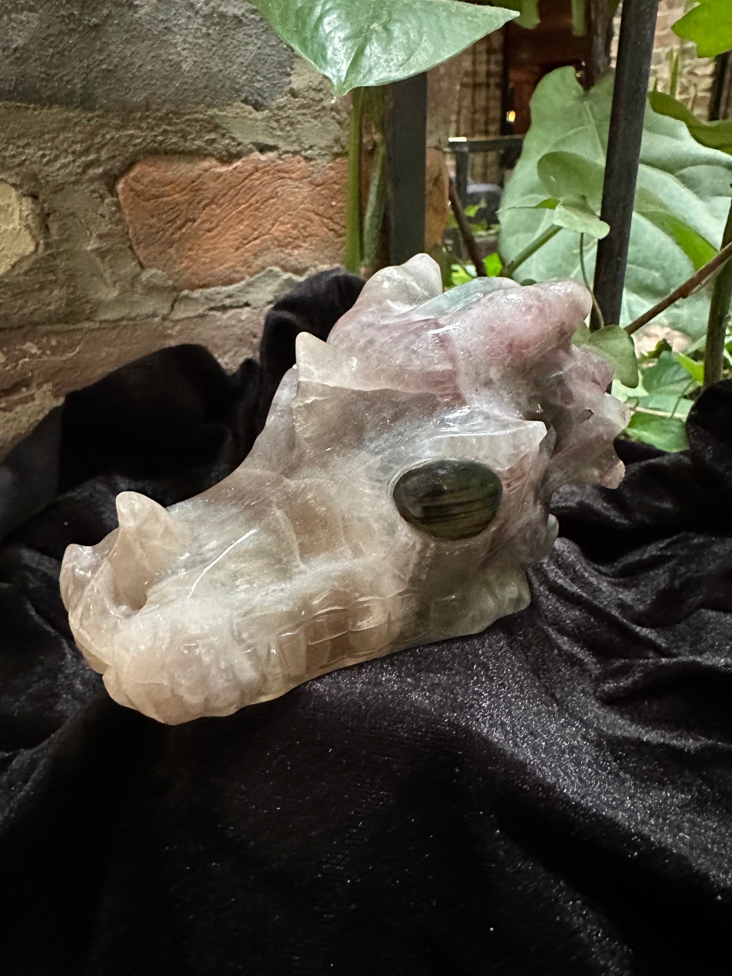 Fluorite Dragon Skull with Tigers Eye