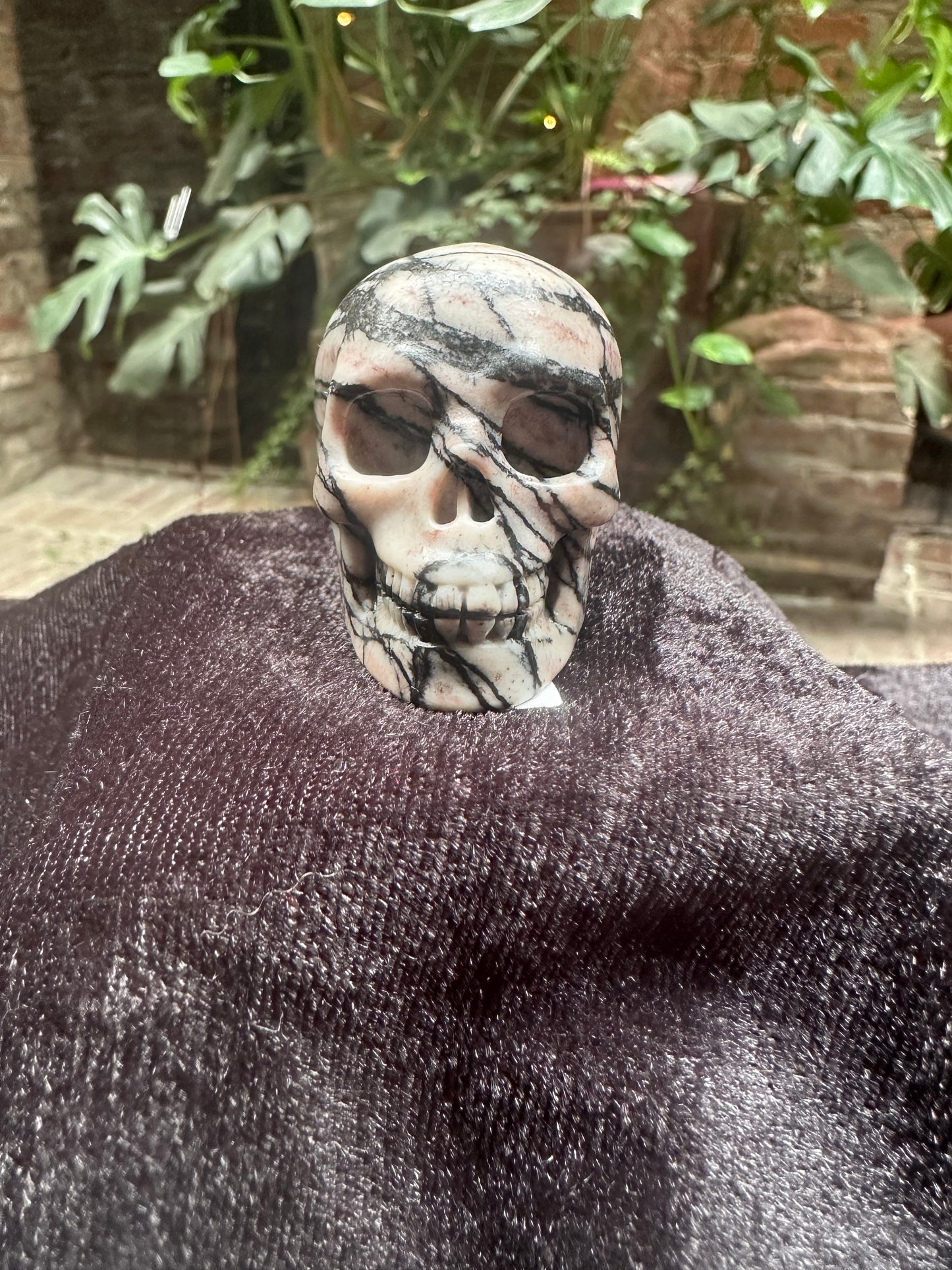 Picasso Jasper Skull 2"