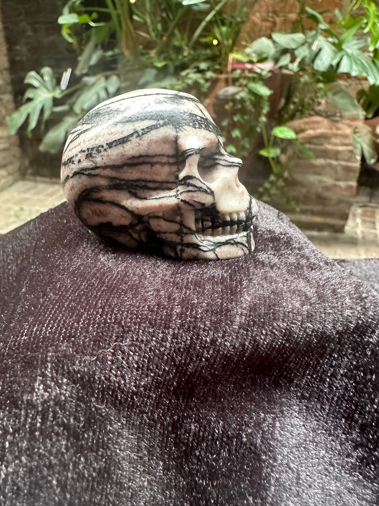 Picasso Jasper Skull 2"