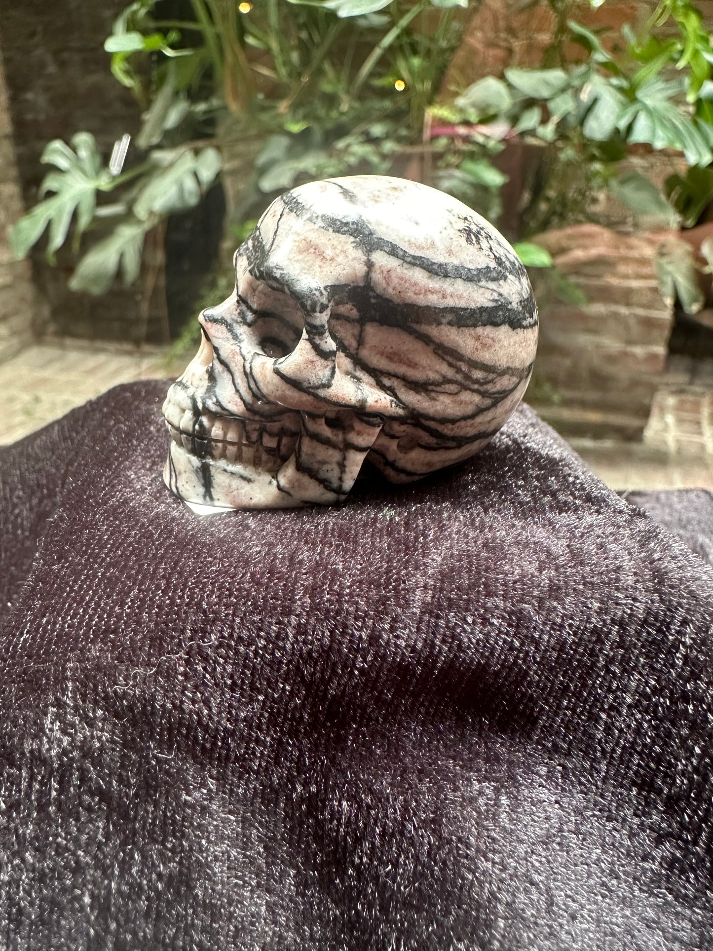 Picasso Jasper Skull 2"