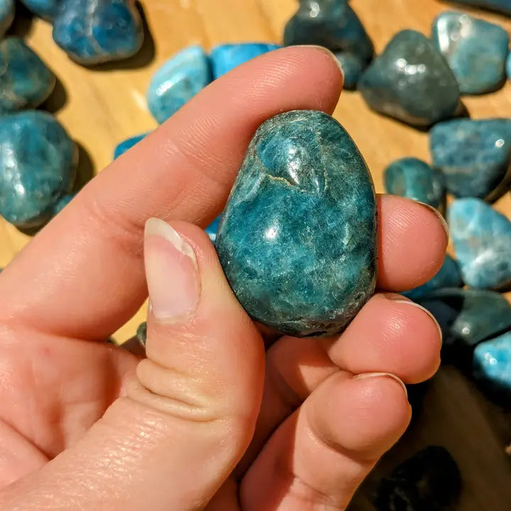 Blue Apatite Tumbles