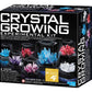 Crystal Growing STEM Science Experiment