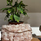 Rose Quartz Planter